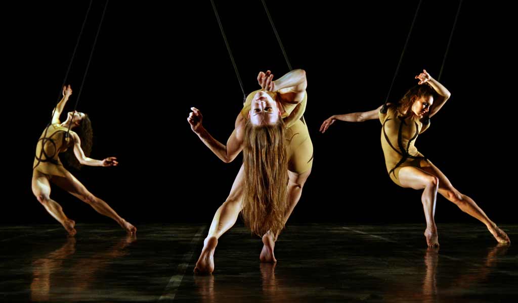 MOMIX